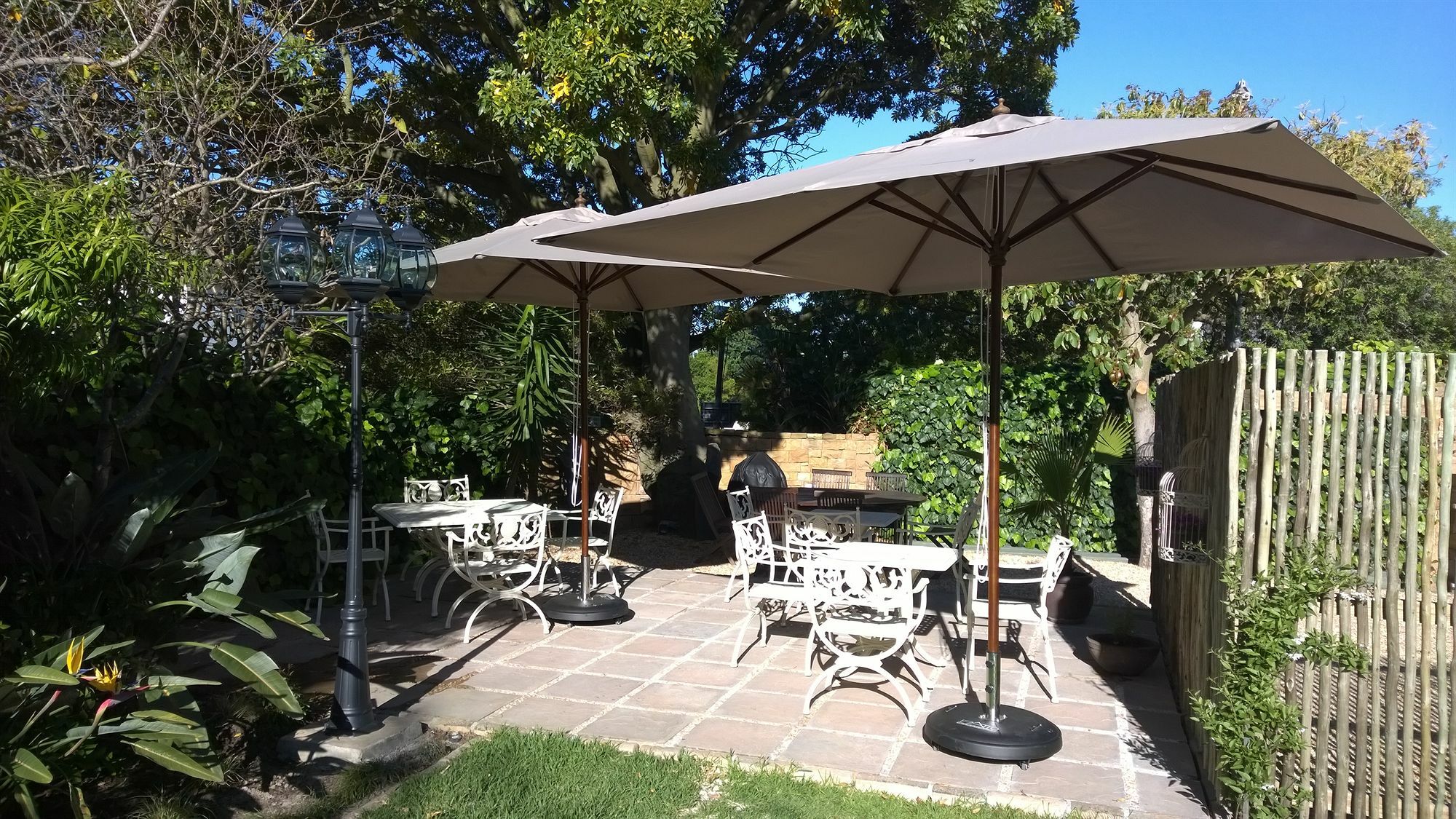 Wild Olive Guest House & Villa Кейптаун Екстериор снимка